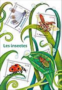 Série Nature : Les insectes