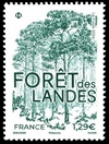 La forêt des Landes
