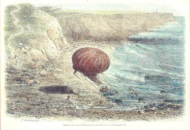 A bord du Neptune, <br>en 1868, Duruof tente <br>un atterrissage difficile <br>au large du <br>Cap Gris-Nez