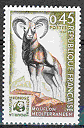 fr_1613 : Mouflon méditerranéen